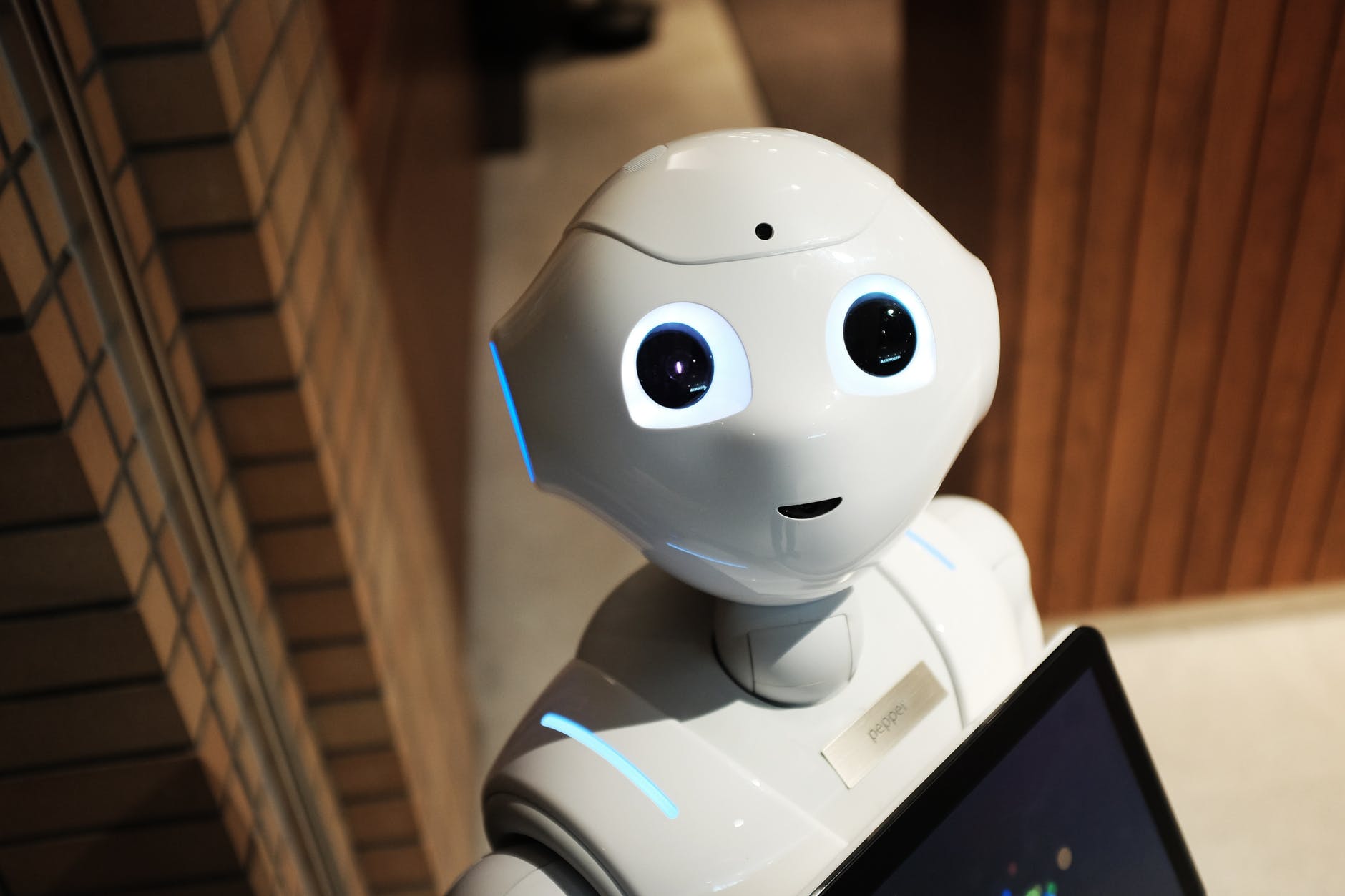 Can a Robo-Advisor really be a good Financial Advisor?